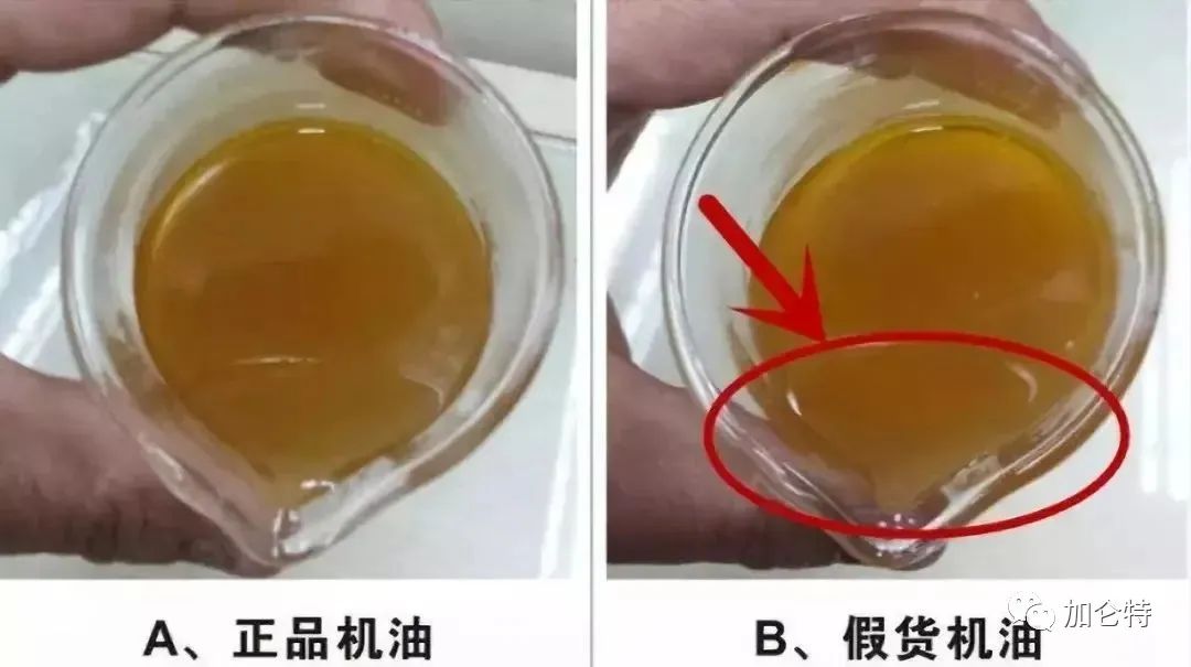 鸿运国际·(中国)手机版登录入口